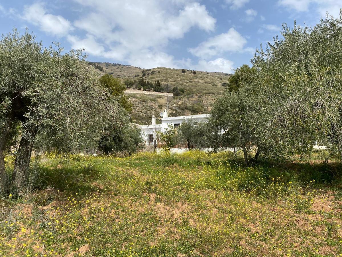 Finca Las Fuentezuelas Carataunas Dış mekan fotoğraf