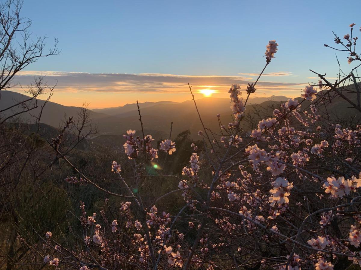 Finca Las Fuentezuelas Carataunas Dış mekan fotoğraf