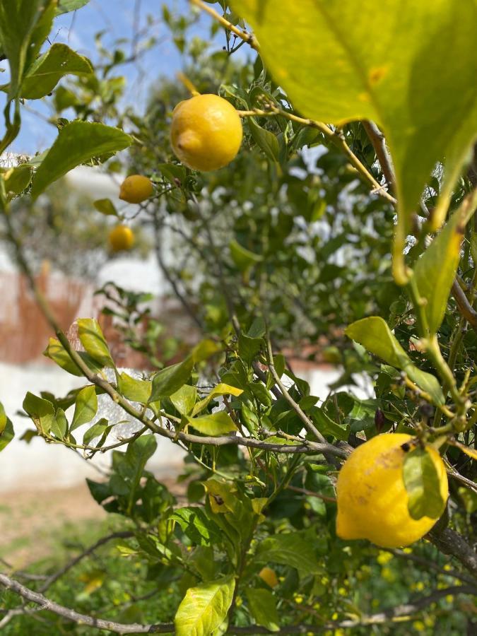 Finca Las Fuentezuelas Carataunas Dış mekan fotoğraf