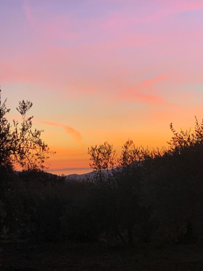Finca Las Fuentezuelas Carataunas Dış mekan fotoğraf