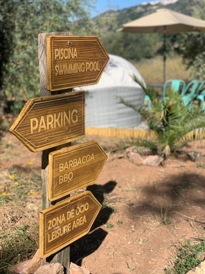 Finca Las Fuentezuelas Carataunas Dış mekan fotoğraf