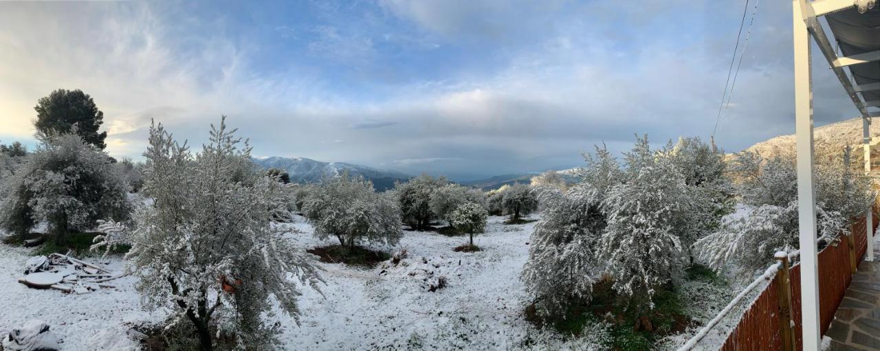 Finca Las Fuentezuelas Carataunas Dış mekan fotoğraf