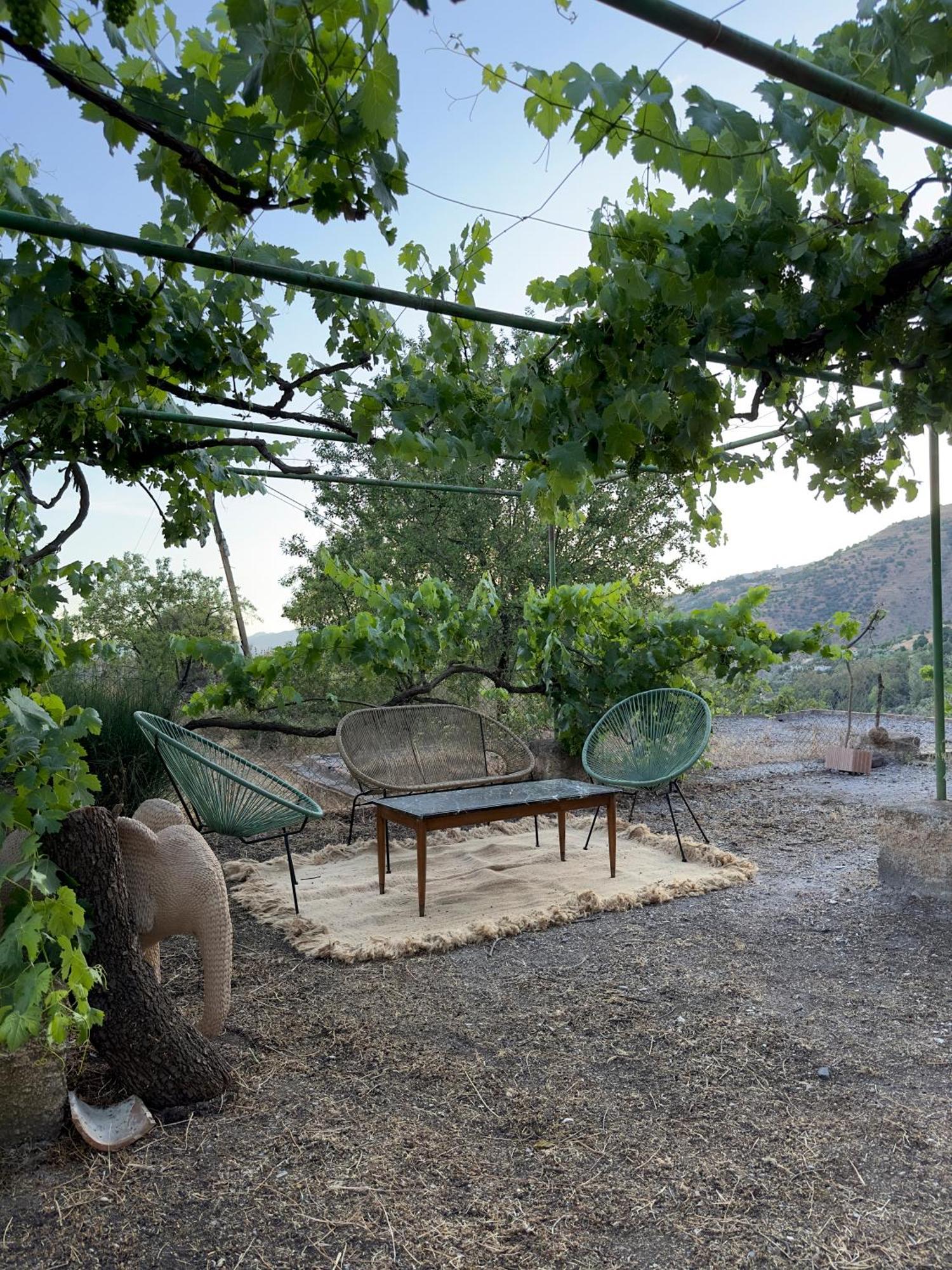Finca Las Fuentezuelas Carataunas Dış mekan fotoğraf